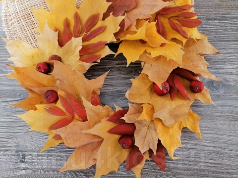 Как оформить гербарий и сделать венок из осенних листьев